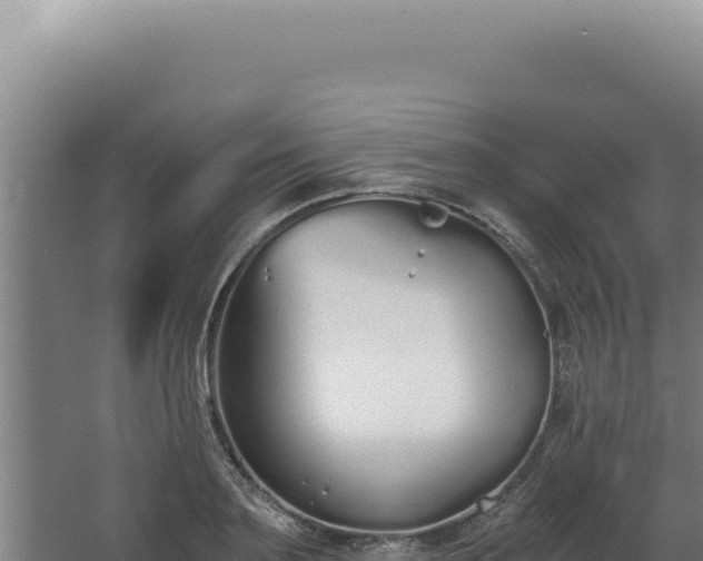 X0000068310891200604281732