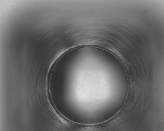 X0000068310894200604281732