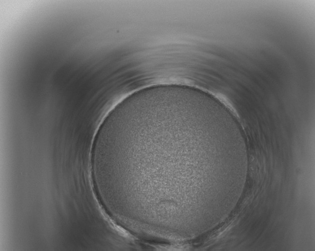 X0000068310895200604281732