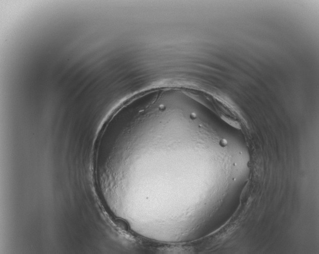 X0000068310896200604281732