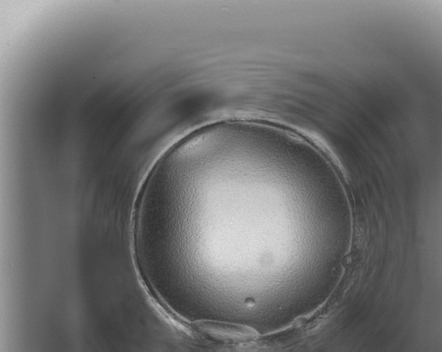 X0000068310903200604281732