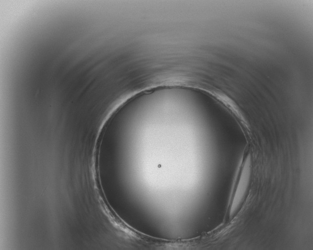 X0000068310904200604281732