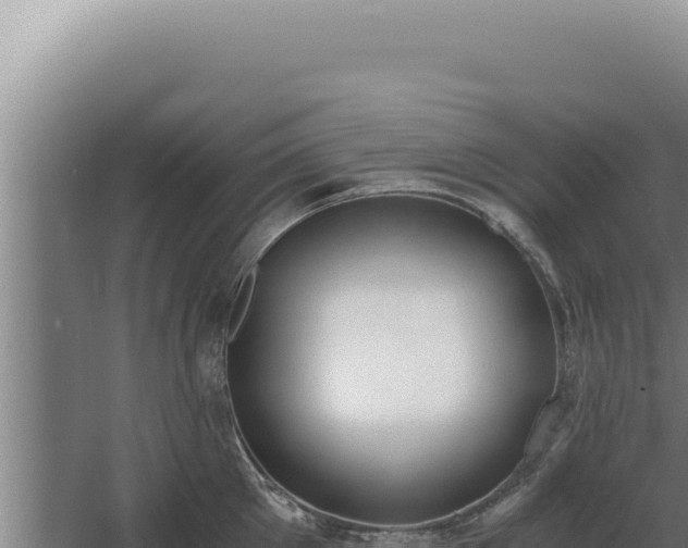 X0000068310905200604281732