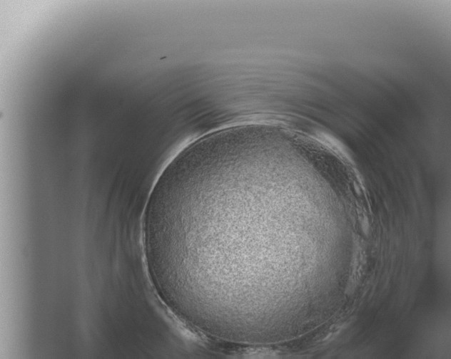 X0000068310907200604281732