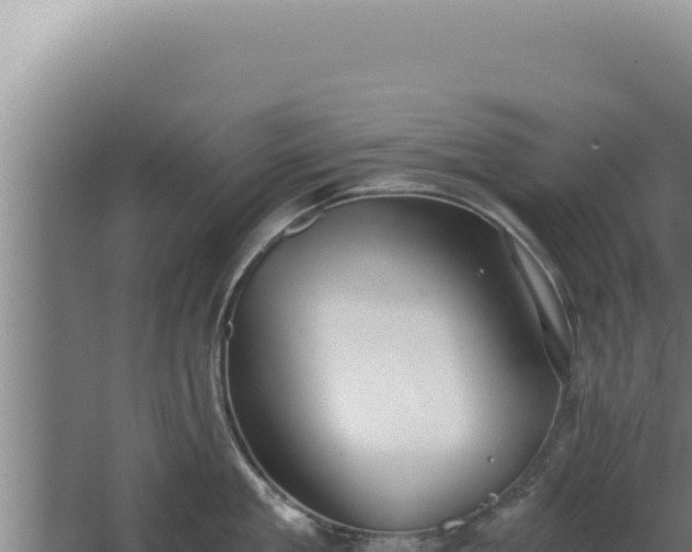 X0000068310909200604281732