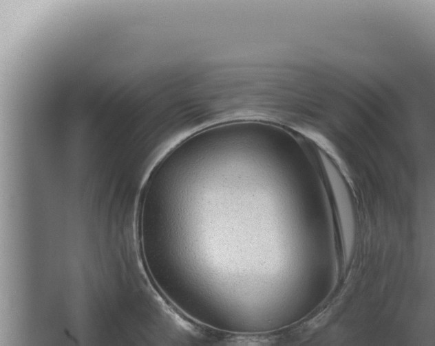 X0000068310910200604281732