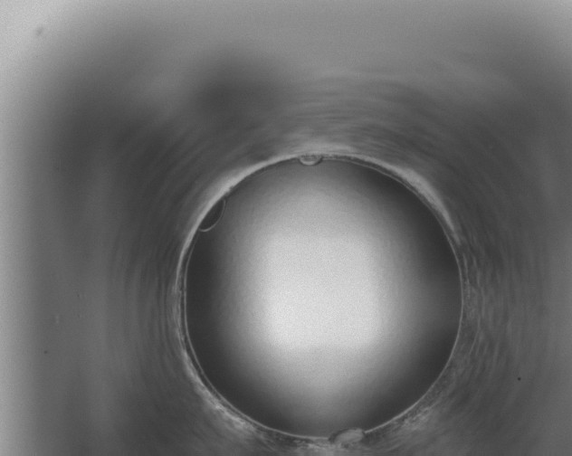 X0000068310911200604281732