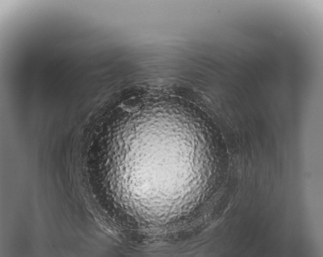 X0000068310913200604281731