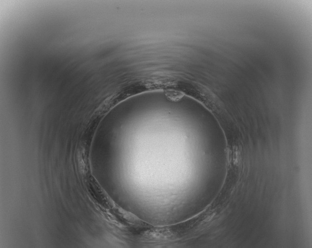 X0000068310915200604281731