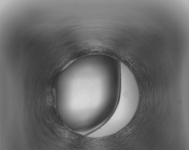 X0000068310916200604281731