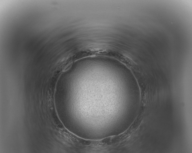 X0000068310917200604281731