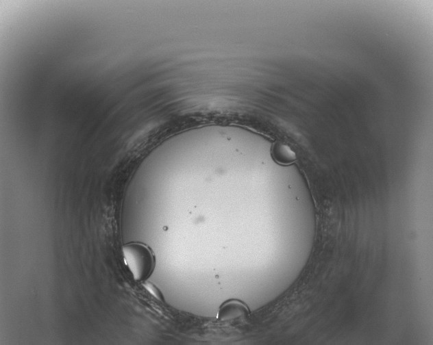 X0000068310918200604281731