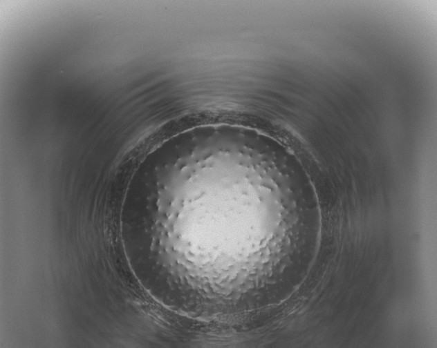 X0000068310919200604281731