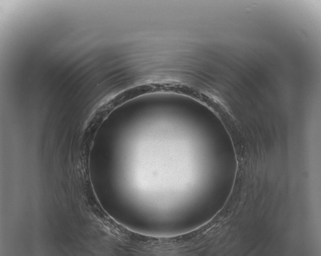 X0000068310920200604281731