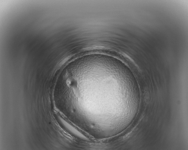 X0000068310921200604281731