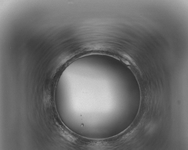 X0000068310922200604281731