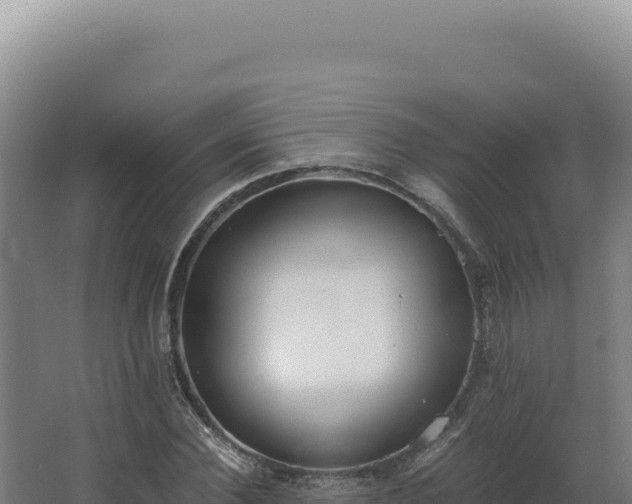 X0000068310924200604281731