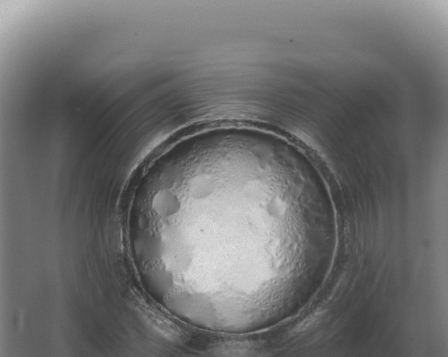 X0000068310925200604281731