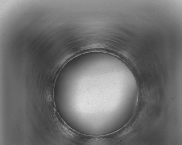 X0000068310929200604281732