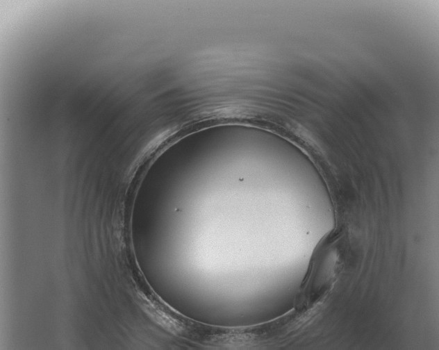 X0000068310930200604281732