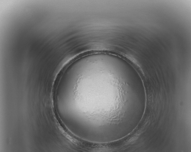 X0000068310935200604281732