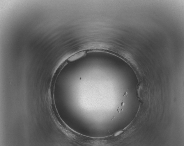 X0000068310936200604281732