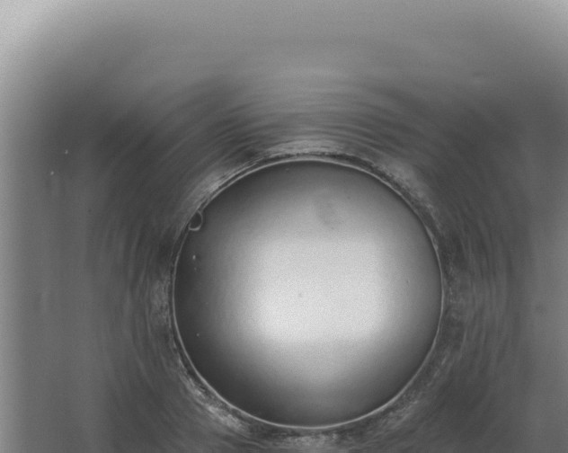 X0000068310937200604281732