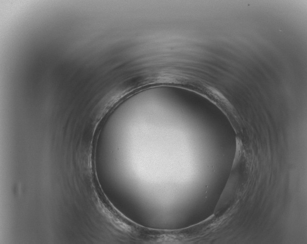 X0000068310938200604281732