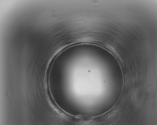 X0000068310939200604281732