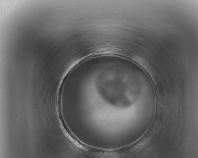 X0000068310941200604281732