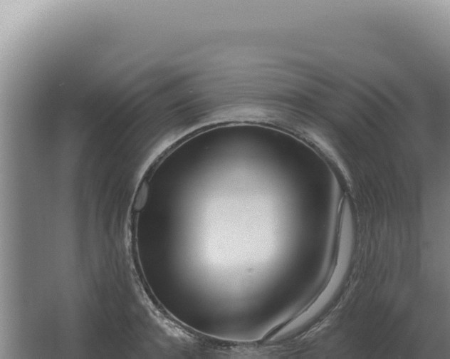 X0000068310944200604281732