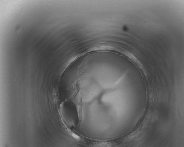 X0000068310945200604281732