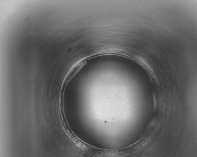 X0000068310948200604281732