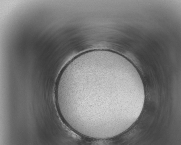 X0000068310950200604281732