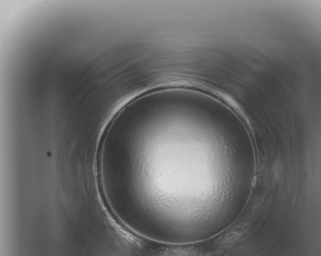 X0000068310951200604281732