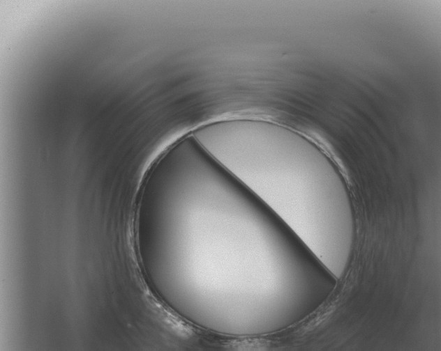 X0000068310952200604281732