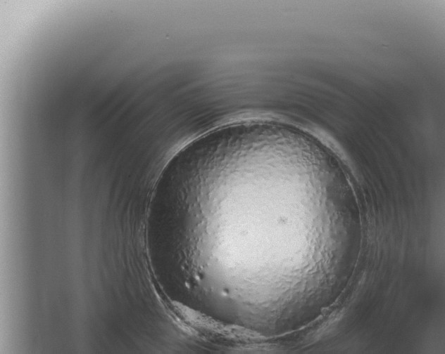 X0000068310953200604281732