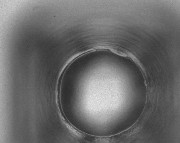 X0000068310955200604281732