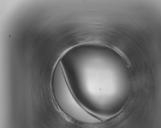 X0000068310956200604281732