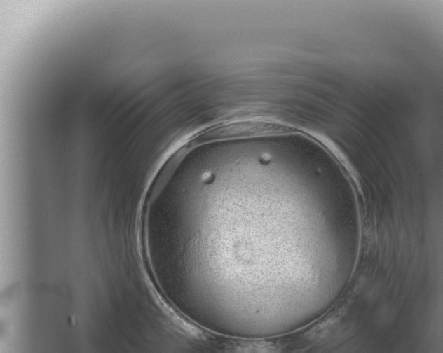 X0000068310957200604281732