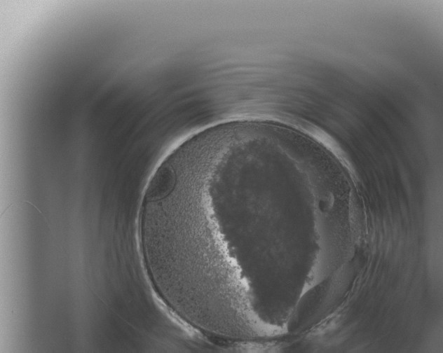 X0000068310958200604281732