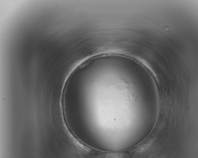 X0000068310959200604281732