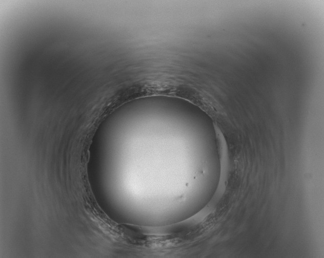 X0000068310961200604281731