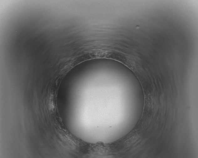 X0000068310962200604281731