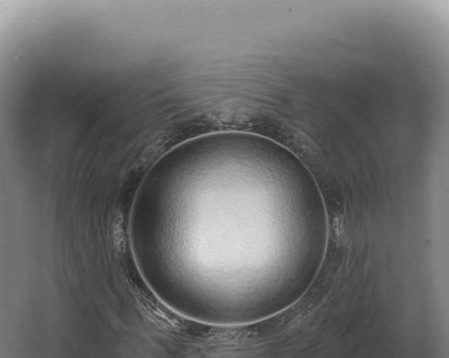 X0000068310963200604281731