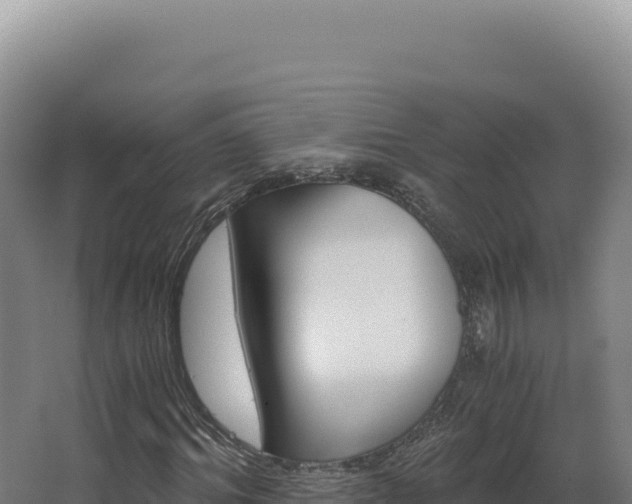 X0000068310964200604281731