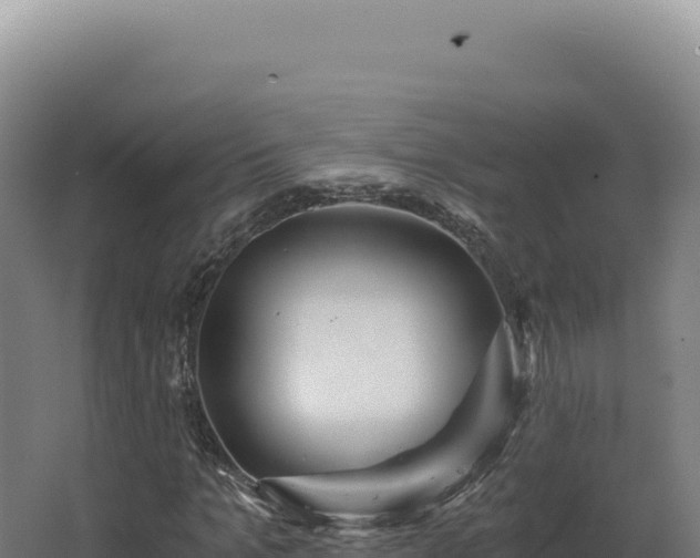 X0000068310965200604281731