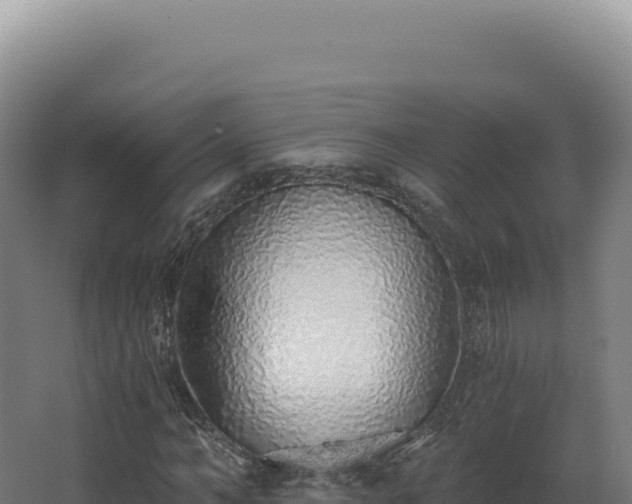 X0000068310966200604281731