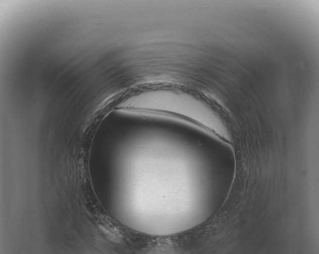 X0000068310968200604281731