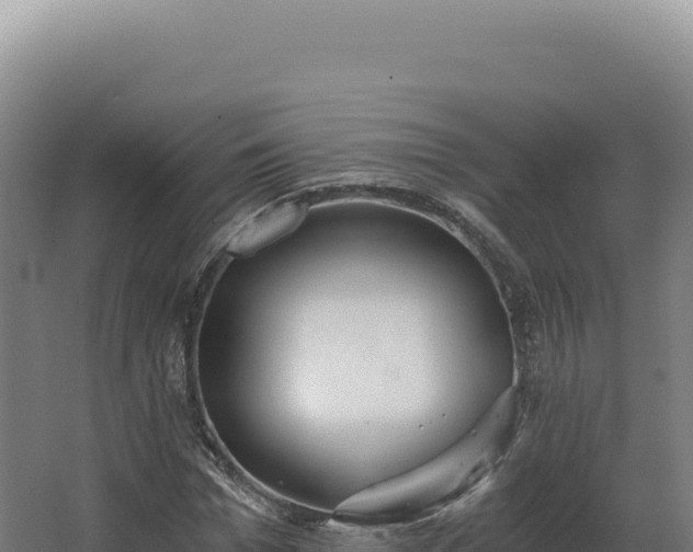 X0000068310969200604281731